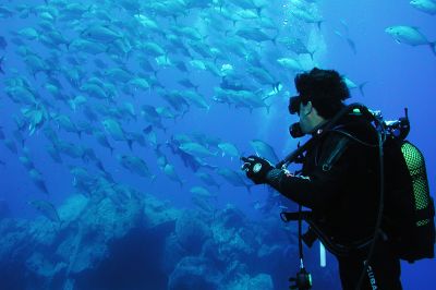 Diving2©VisitMadeira