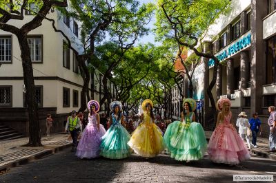 Flower-Festival001©Henrique-S