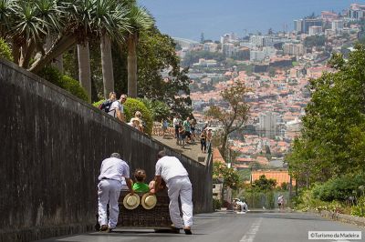 Carreiros-do-Monte3@miguelmoniz