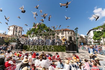 Flower-Festival018©Henrique-S