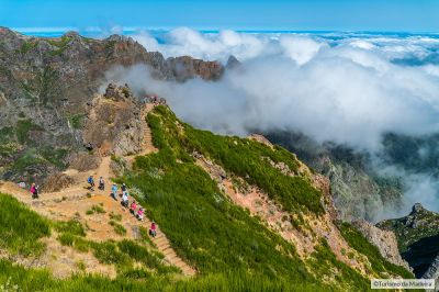 Madeira-Nature-Festival006©Tiago-Sousa